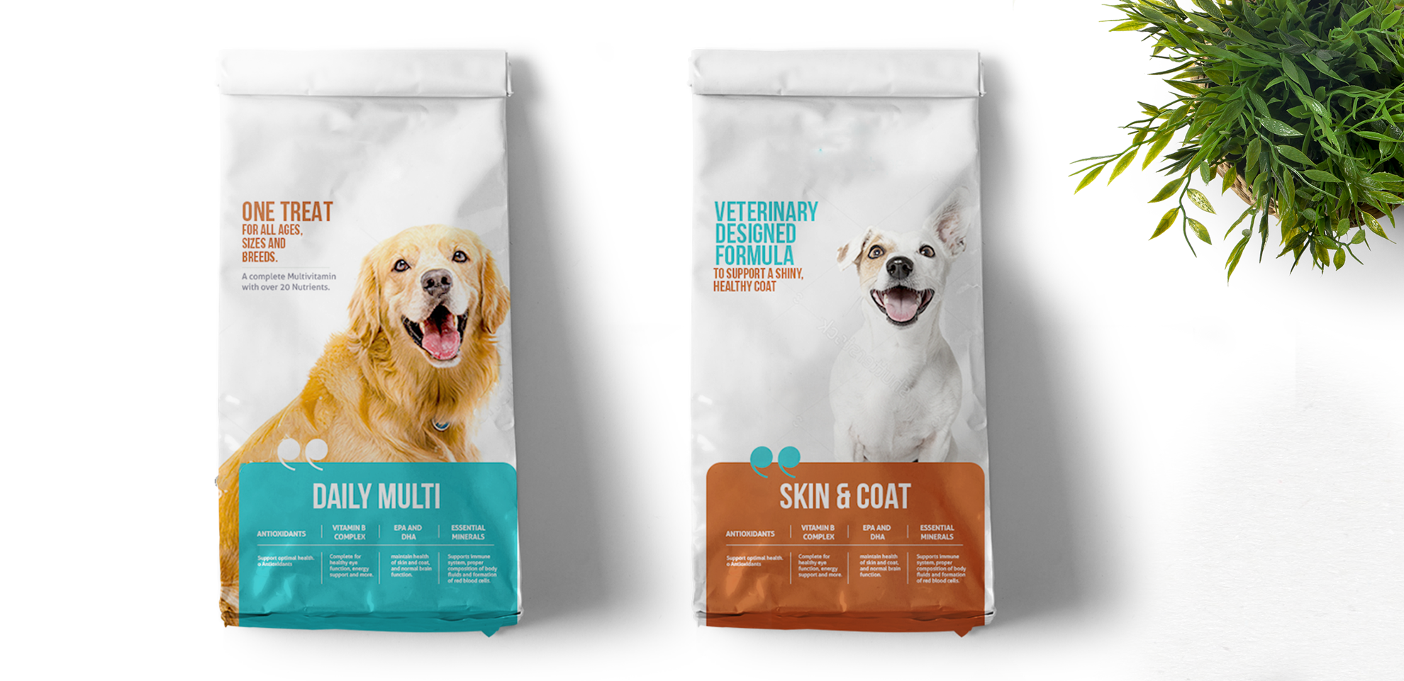 Verve_Concepts_Pet_Food_Branding_Final(www.verveconcepts.com)